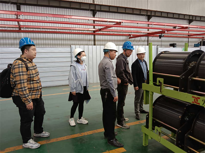The person in charge of a Saudi engineering project visited Dongqi Crane